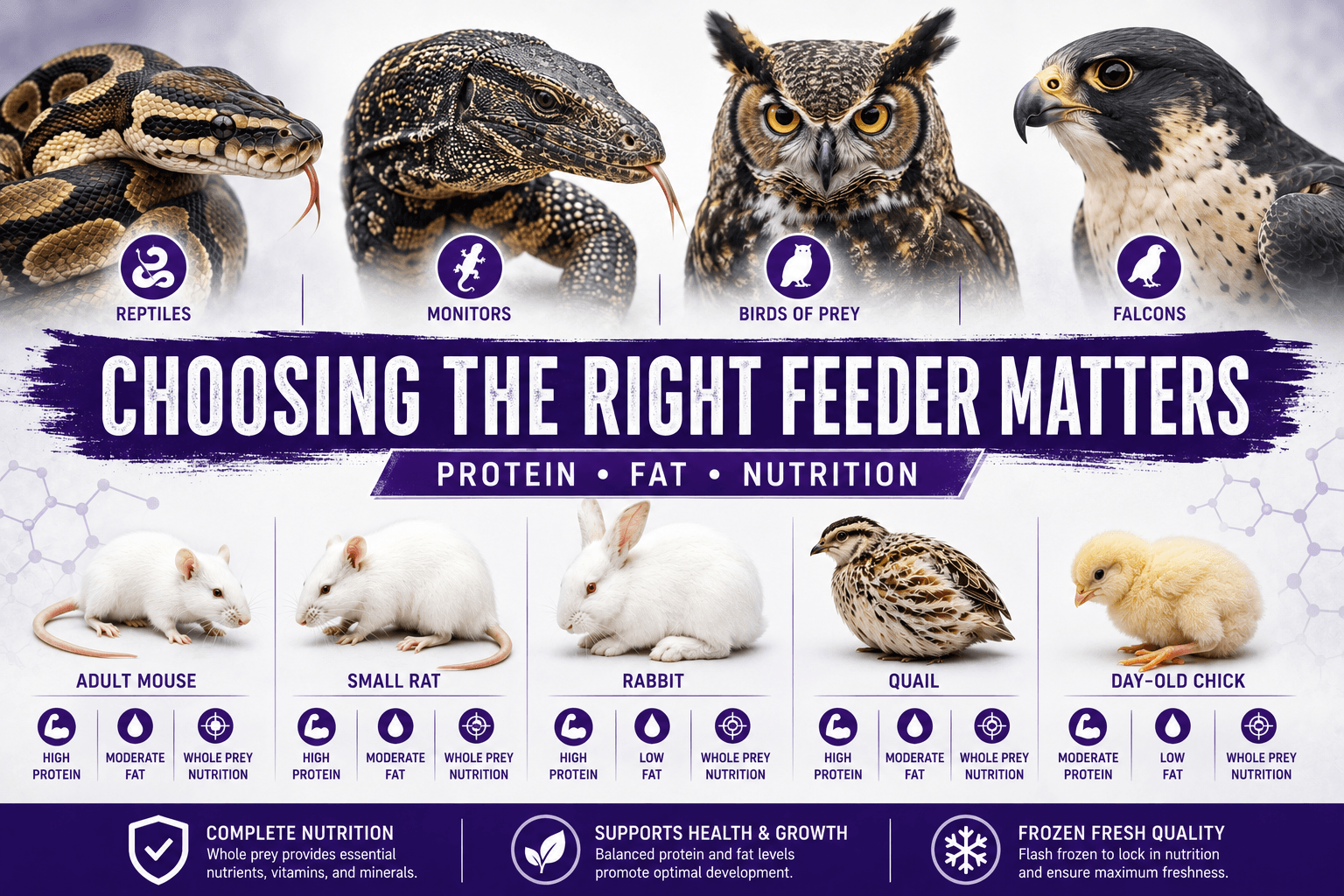 Frozen Feeders Animal Nutrition Guide: Protein, Fat & Whole Prey Comparison Chart
