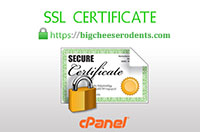 cpanel-ssl